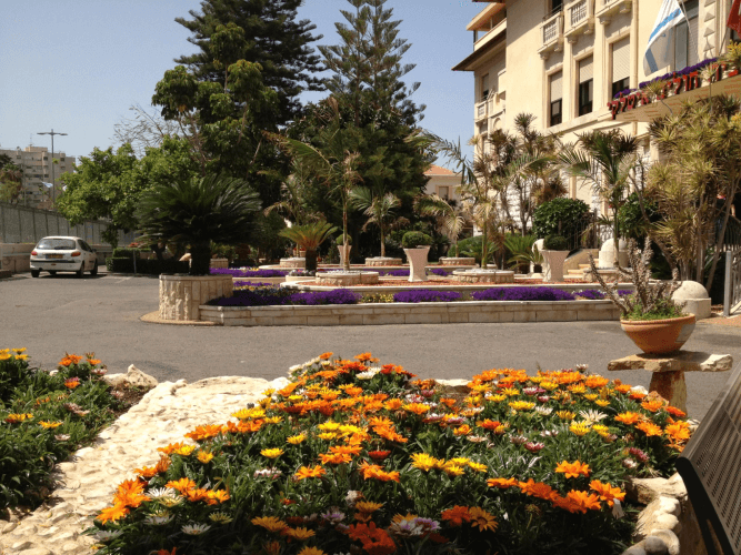 הקמה ועיצוב גינה 5